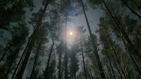 Już w weekend Nocny Rajd na Orientację Malo '25