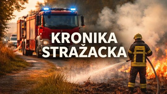 Nadeszła wiosna, a z nią plaga wypalania traw. Pożar mieszkania i warsztatu samochodowego