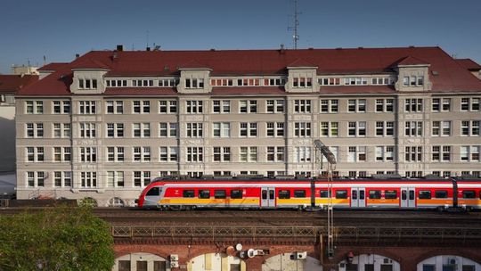 Pies i kot w podróży. Jak bezpiecznie i komfortowo przewozić swojego pupila pociągiem