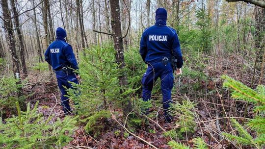 Policja rusza na kontrole. Sprawdzą legalność choinek