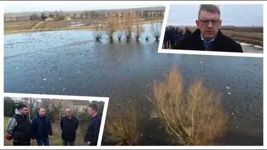 Powiśle i Żuławy pod wodą. Rolnicy alarmują!  - To nie jest problem techniczny, to kwestia bytu i przetrwania