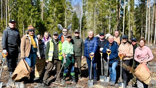 Razem dla natury. Wspólne sadzenie lasu, które łączy pokolenia
