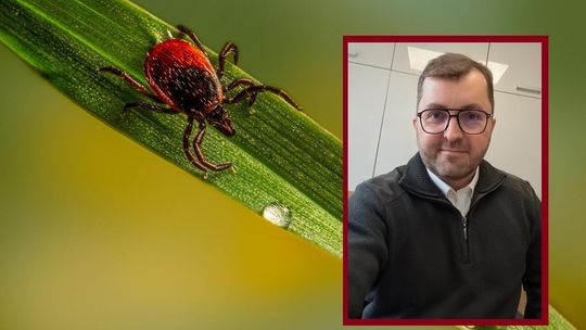 Sezon na kleszcze bez paniki