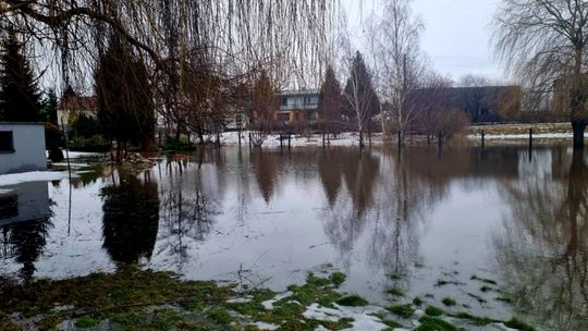 Zalana posesja w Kamionce. Interweniowały jednostki OSP