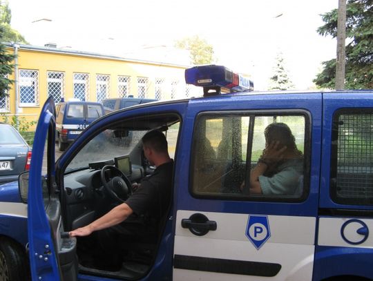 11 zarzutów w jednej reklamówce