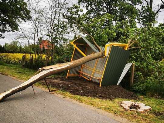 1,2 tys. zgłoszeń do strażaków w całym kraju. Zerwane opierzenie dachu. Drzewo powaliło się na przystanek autobusowy!