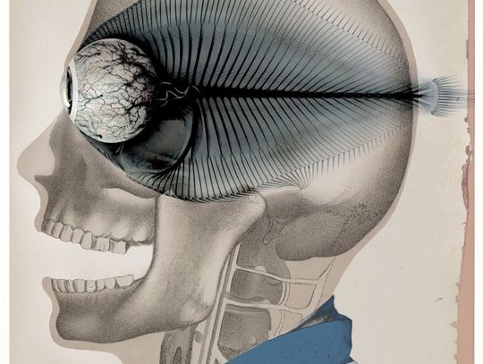 16 Fląder Festiwal 2019