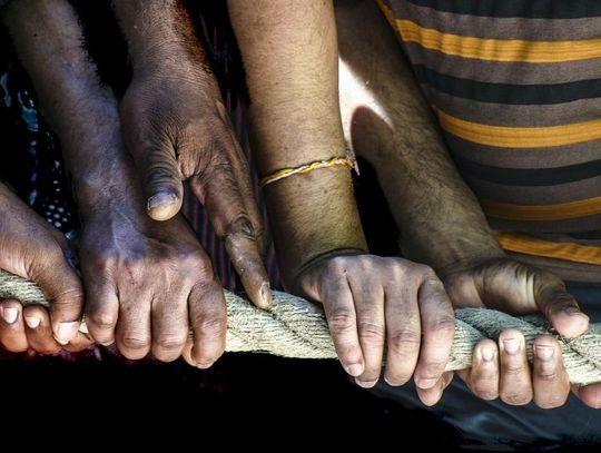 20 grudnia 2025 r. - Ważny dzień w kalendarzu. Międzynarodowy Dzień Solidarności