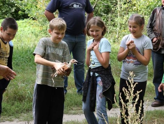 200 młodych bażantów trafiło do lasu