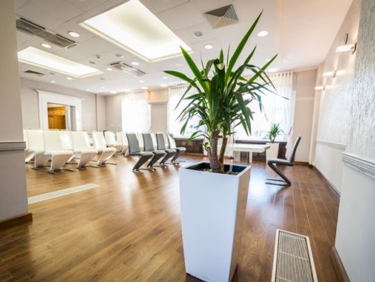 2015 r. w Tczewie - mniej ślubów, mniej urodzeń