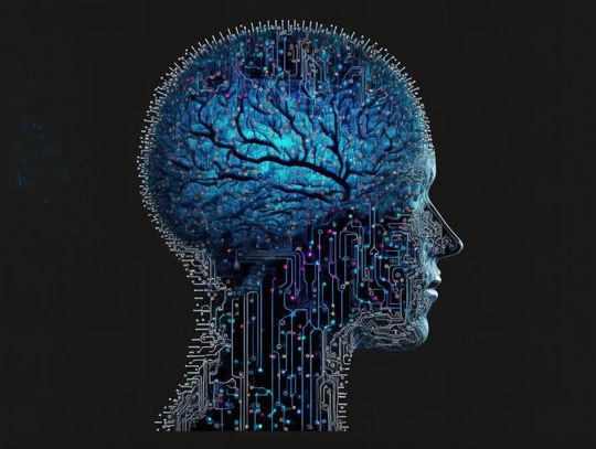 22 lipca 2025 r. - Ważny dzień w kalendarzu. Światowy Dzień Mózgu