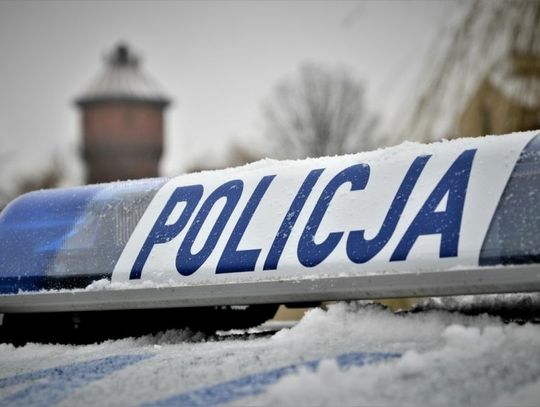 31-latce postawiono 8 zarzutów  Kradła mięso, frytki, olej, warzywa...