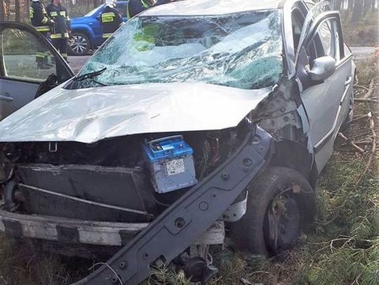 33-latka uderzyła autem w drzewo. Razem z córką trafiła do szpitala.