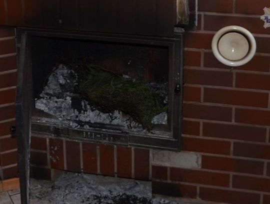 34 latek zatrzymany za posiadanie narkotyków