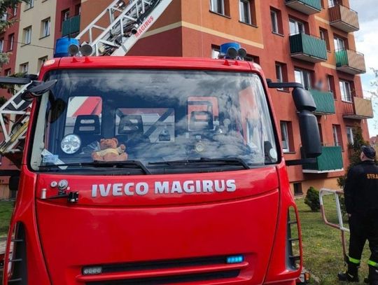 35-latek wpadł dzięki strażackiemu wysięgnikowi. Zatrzymanie łącznie 17 poszukiwanych