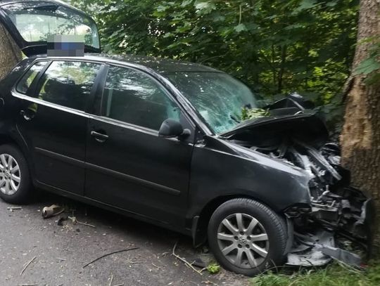 40-latek pod Tadzinem uderzył autem w drzewo.