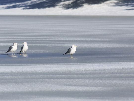 5 pomysłów na spędzenie czasu nad Bałtykiem zimą
