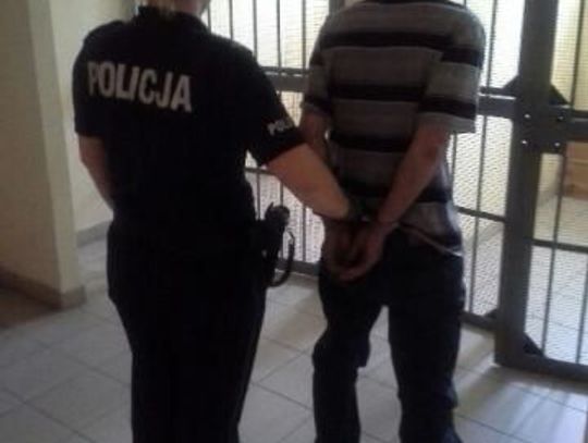 51-latek wyrzucił kota z VI piętra 