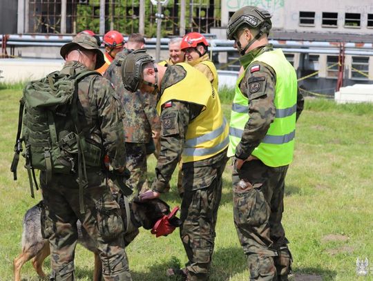7 Pomorska Brygada Obrony Terytorialnej trenuje z najlepszymi ratownikami