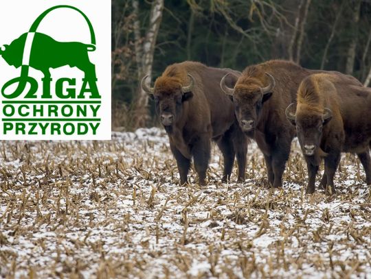 9 stycznia 2026 r. - Ważny dzień w kalendarzu. Dzień Ligi Ochrony Przyrody