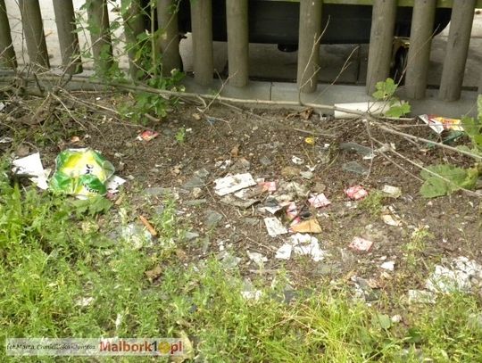 "A u nas wieczny syf". Kto posprząta przy śmietniku?