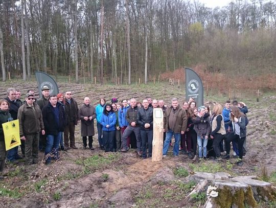 Akcja „100 milionów drzew do 2017 roku”