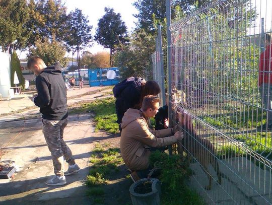 Akcja „Napełnij miseczkę”