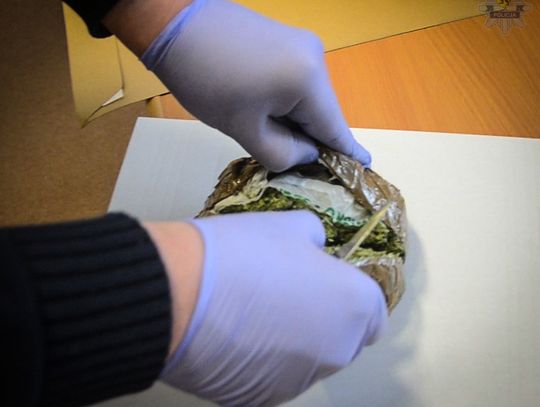 Akcja "Trzeźwy poranek": kierowca trzeźwy ale pod bielizną marihuana