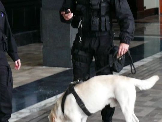 Alarm bombowy - sposób na skrócenie dnia pracy