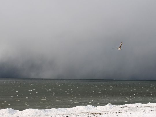 Alert pogodowy – orkan Otto!!! Czerwony alarm dla Polski