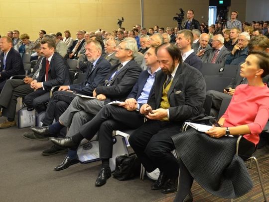 Analizowali pionierską kontruję mostu