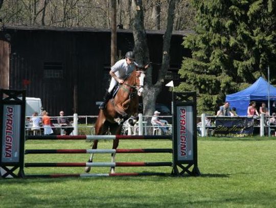 Apel władz miasta i radnych: NIE dla likwidacji Stada Ogierów! 