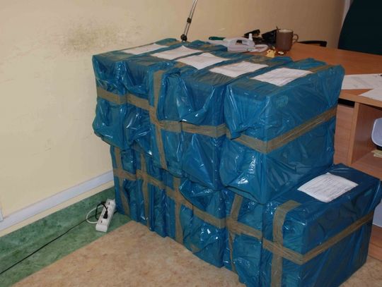 Architekci projektowali na nielegalnych oprogramowaniach