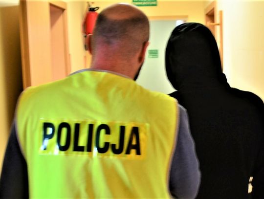 Areszt dla 20-latka, zatrzymanego przez policjantów za molestowanie dziewczynki