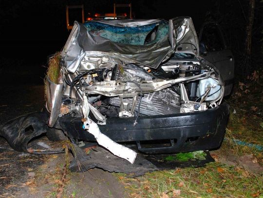 Audi potrąciło krowę i dachowało, jedna osoba nie żyje