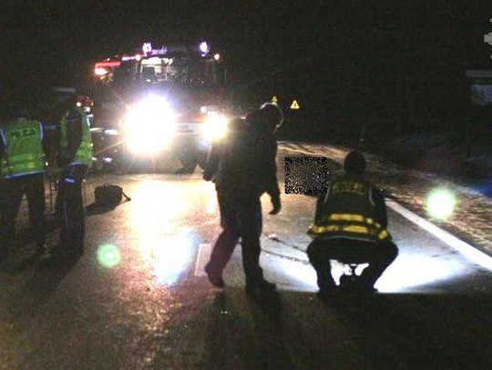 Auto zmiażdżone na drzewie przy ul. Bałdowskiej. Kierowca zmarł w karetce