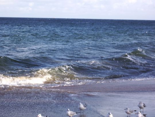 Awaria kolektora ściekowego. Zakaz kąpieli na plaży w Brzeźnie
