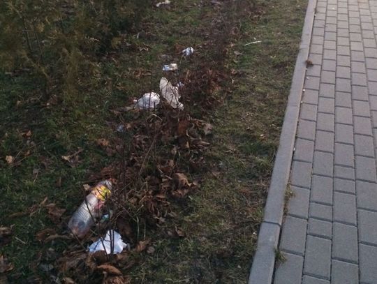 Bałagan przy chodniku, a służby licytują się kto ma posprzątać 