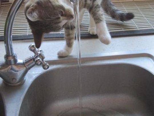 Będzie drożej za wodę i ścieki. ZWiK zmodernizuje infrastrukturę