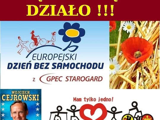 Będzie się działo! Sprawdź harmonogram wydarzeń na Kociewiu!