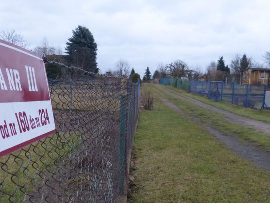 Bezdomni kontra prezes: &quot;Chcemy mieszkać na działkach!&quot;