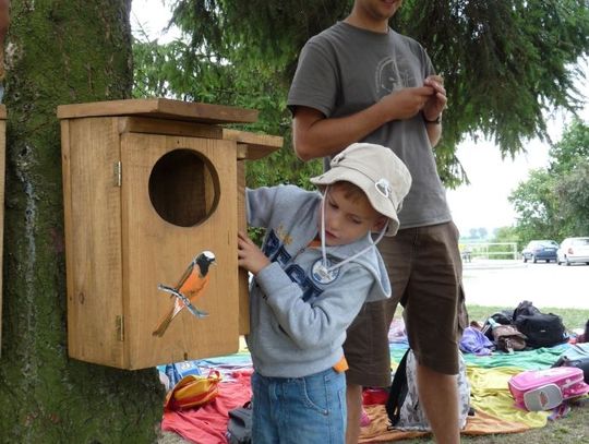 Bioróżnorodność w Gniewie