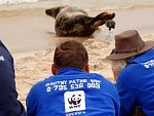 Błękitny patrol brzegiem Bałtyku