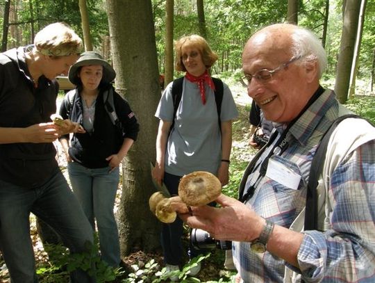 Bliżej natury - specjaliści od kompensacji przyrodniczej 