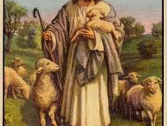 Bóg zawsze miłosierny. Życie codziennie uczy nas czegoś innego, należy to dobrze wykorzystać