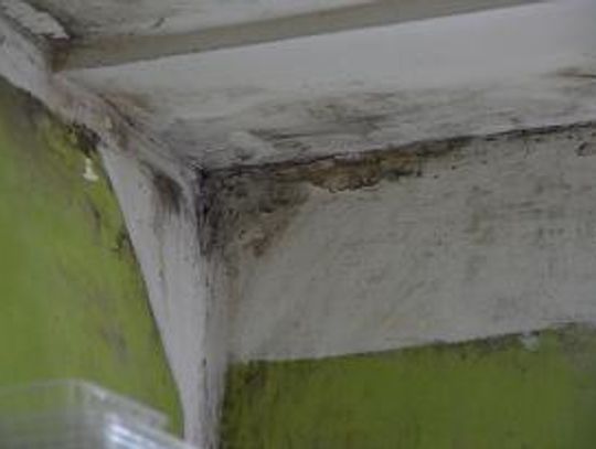 Brak nadziei na lepsze jutro... Siedmioletnia batalia mieszkańców z administracją o normalne życie 