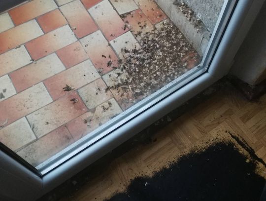 Brud i... wstyd w szpitalu. Czytelniczka zrobiła zdjęcia