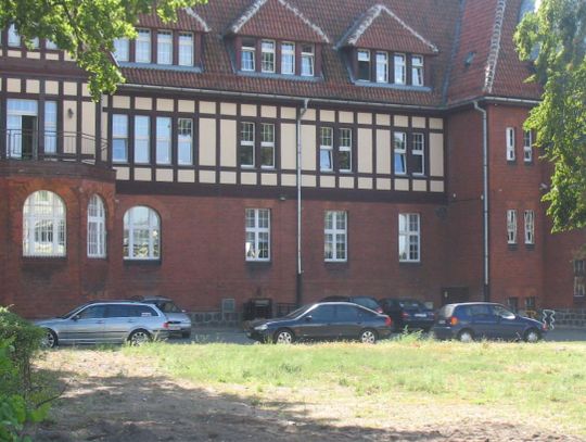 Budują parking pod UM. „Dlaczego usunięto te drzewa?!”