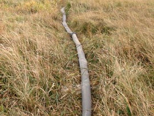 "Bursztynniacy" zatrzymani na gorącym uczynku 