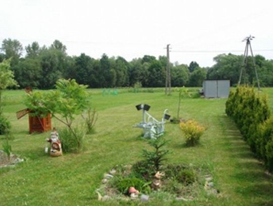 Buszowali po altanach